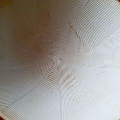 🔪常滑焼 すり鉢 7号？ 日本製 の画像