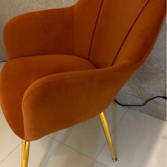 ラウンジチェアーの画像