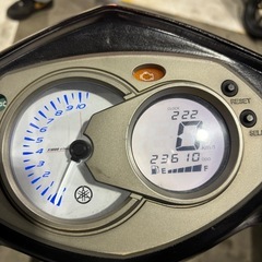 シグナスの画像