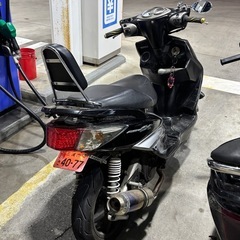 シグナスの画像