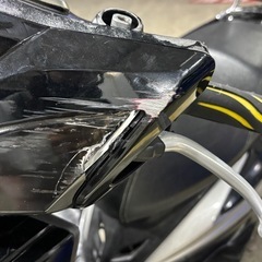 シグナスの画像