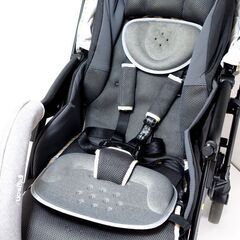 0220538228■ ピジョン ランフィリノン RB1LZ グレーの画像