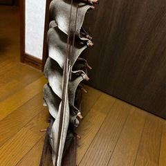 帆船模型の画像