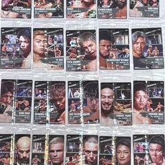 RIZIN 第2弾 ファイターカード（20種類、合計30枚）の画像