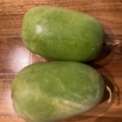 長野　りんごふじ　5kg  冬瓜1つ差し上げますの画像