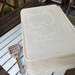猫トイレの画像