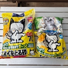 猫トイレの画像