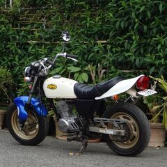 現車確認・引き取り希望！！ 仕上げベース エイプ50の画像