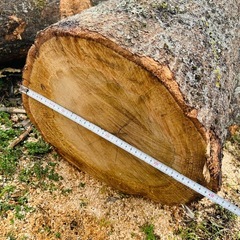 【無料】広葉樹　薪の画像