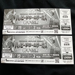 ハッピードリームサーカスチケット２枚