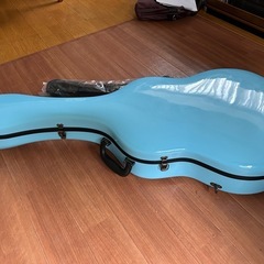 アランフェスギターケース　の画像