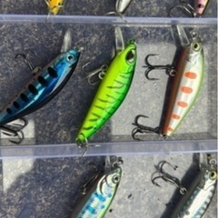 ミノールアー
の画像