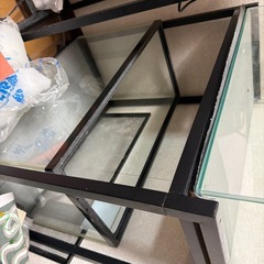 すいそう水槽の画像