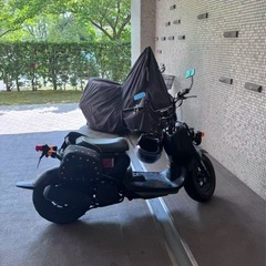 ズーマー　原付　バイク　車体　の画像