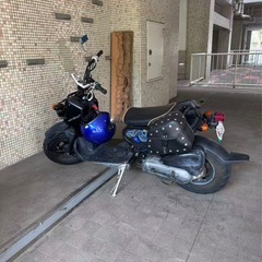 ズーマー　原付　バイク　車体　の画像