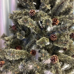 クリスマスツリーの画像