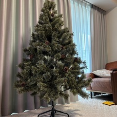 クリスマスツリーの画像