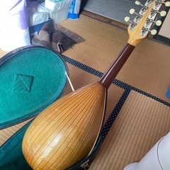 マンドリンケース付きの画像