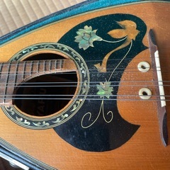 マンドリンケース付きの画像