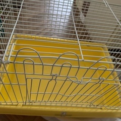 うさぎケージの画像