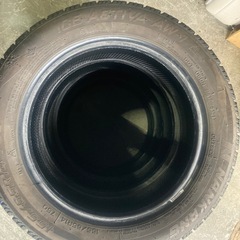 ナンカン　アイスアクティバAw-1　の画像