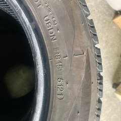 ナンカン　アイスアクティバAw-1　の画像