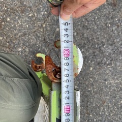  足場用アンチの画像