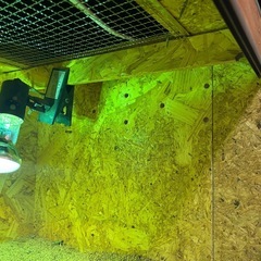 爬虫類ケージ　幅140奥50.5高39.4の画像