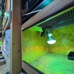 爬虫類ケージ　幅140奥50.5高39.4の画像