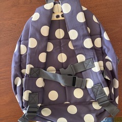 軽いリュックの画像