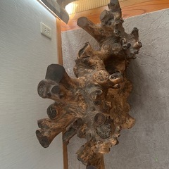 天然木　置物　オブジェの画像