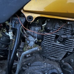 YAMAHA tw200の画像