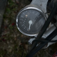 YAMAHA tw200の画像