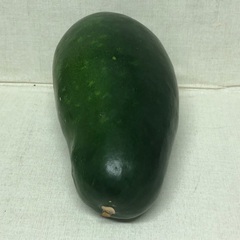 とうがん　冬瓜　1本の画像
