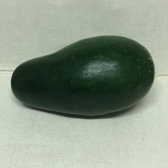 とうがん　冬瓜　1本の画像