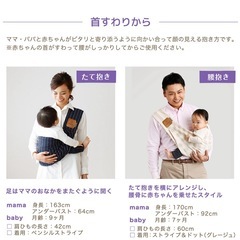 【ほぼ新品】Bettaベッタ キャリーミー！メッシュ スリングの画像