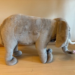 乗れるゾウの画像