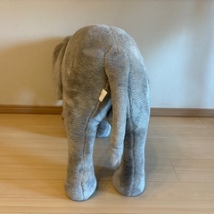 乗れるゾウの画像