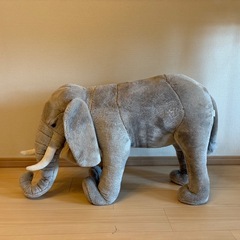 乗れるゾウの画像