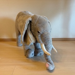 乗れるゾウの画像