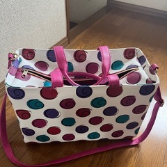 ディズニープリンセスのバッグの画像