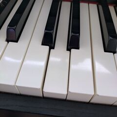 電子ピアノ　カシオ　セルビアーノの画像