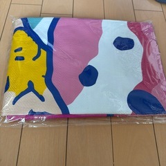 スヌーピー•サーティワン　もろもろせっ諸々セットの画像