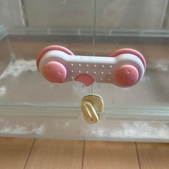 ハムスターゲージ①
 の画像