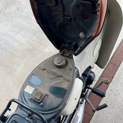 【引取り限定】ホンダ　リトルカブ　グリーンの画像
