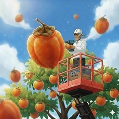 【体験型】究極の「我が家の市田柿」を創ってみよう！厳選渋柿18kgの画像