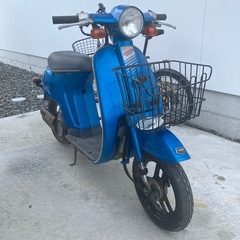 タクティの画像