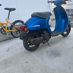 タクティの画像