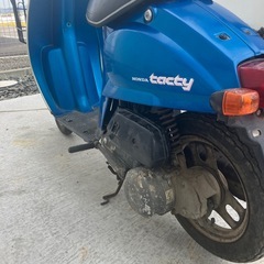 タクティの画像