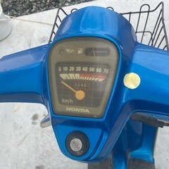 タクティの画像